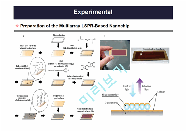 나노소재설계-Nanoparticle Layer Nanochip (LSPR)   (4 )